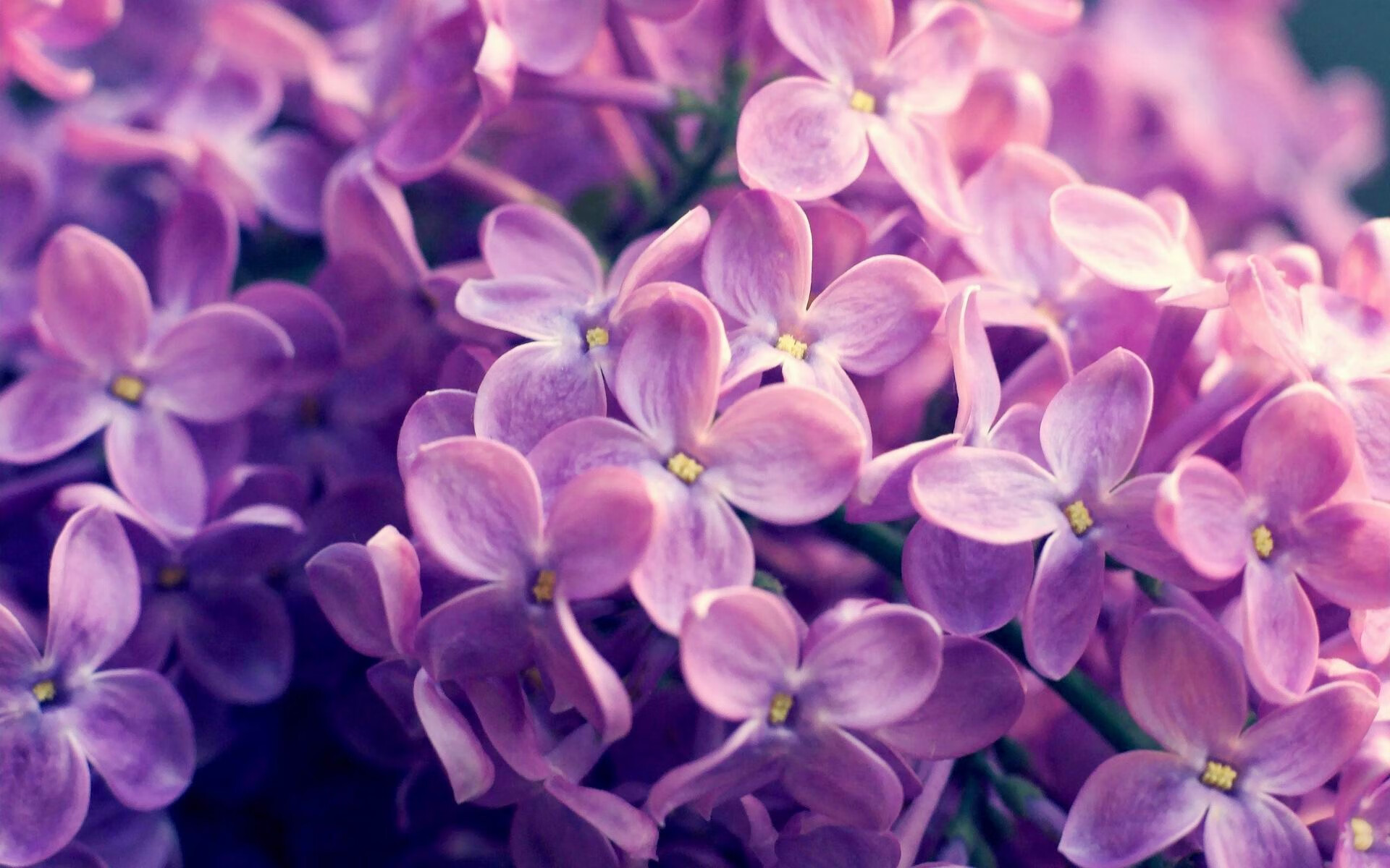 体育平台APP-当冰岛的铁壁遇见切尔西的叹息，门迪上演守门艺术的绝对教程