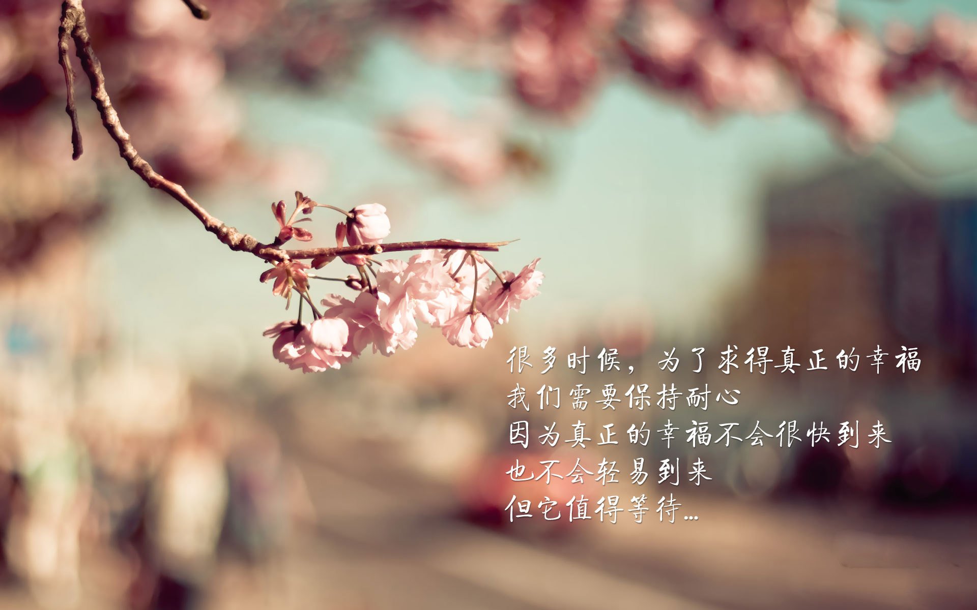 欧冠剧本由他书写,莱比锡是韩国球队的专供克星?莱万的大场面检测器与红牛的战术压制