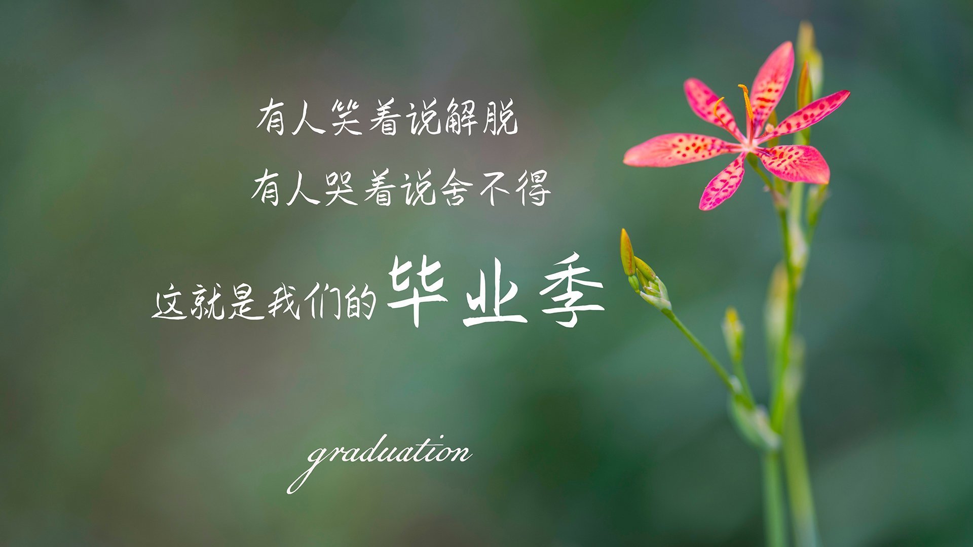 布伦森擎天逆转,尼克斯破热火汹涌波流夺胜