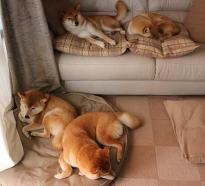 下载-金粉洒在伯纳乌，加维惊艳，皇马冷静