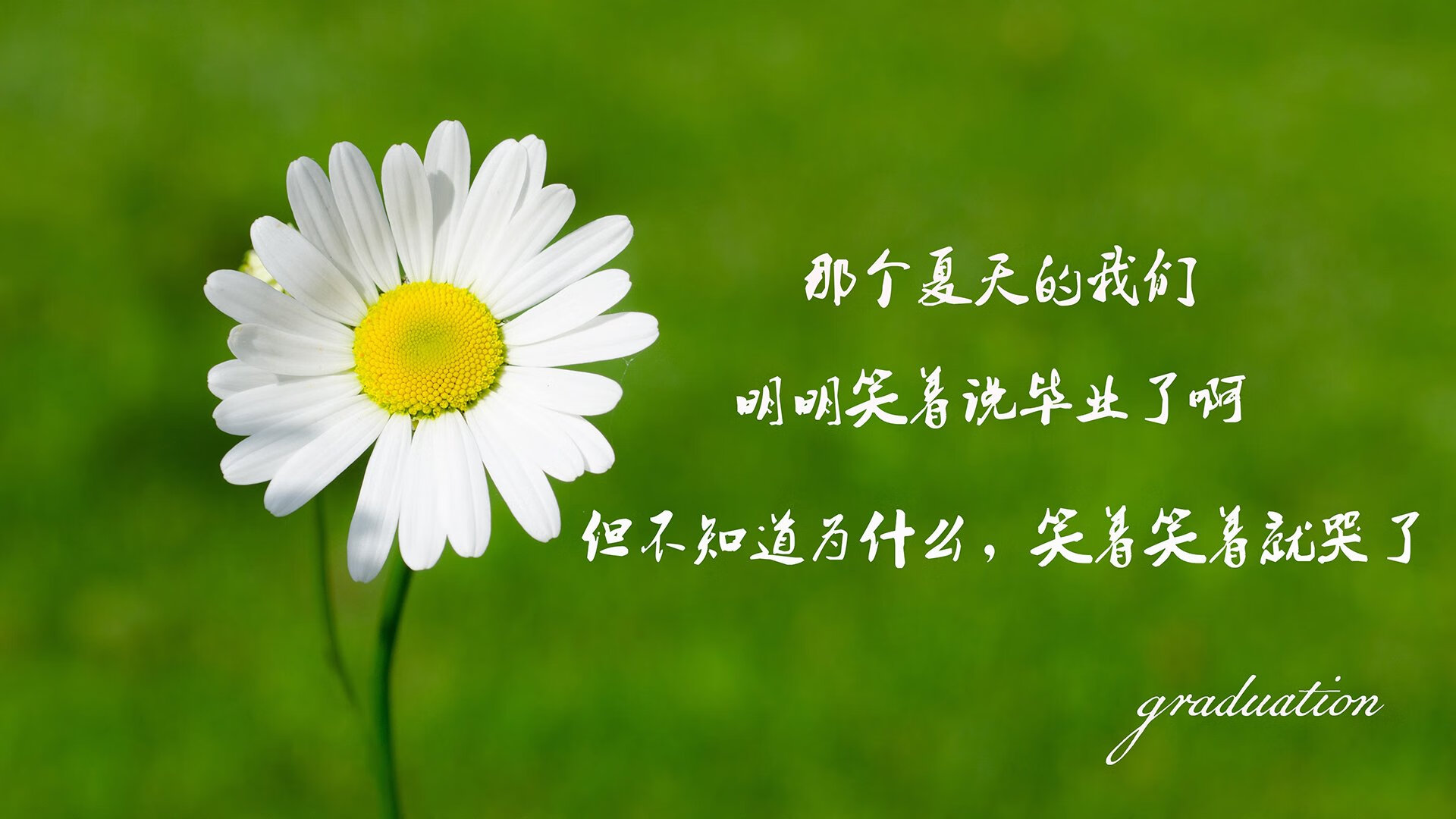 极地寒冰遭遇热带风暴，2026世界杯D组，哥斯达黎加横扫冰岛，阿方索·戴维斯一人改写北境神话